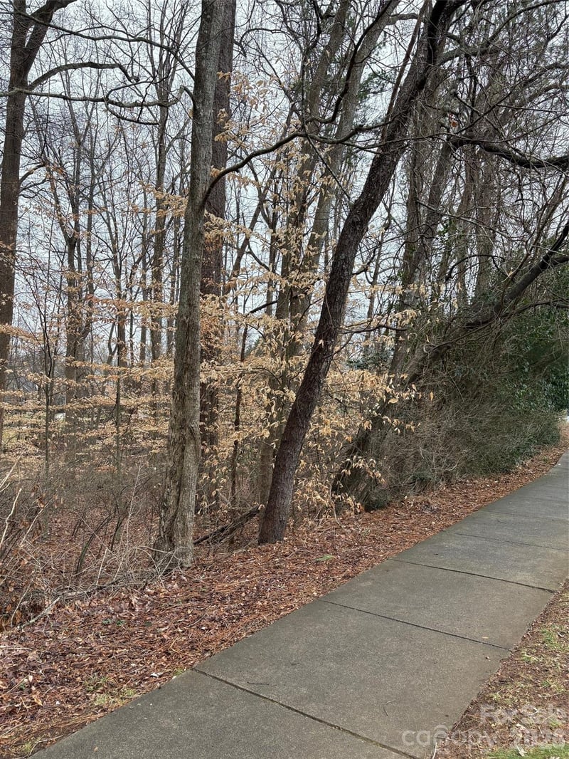 1062 Elizabeth Manor Ct, Matthews, NC 28105