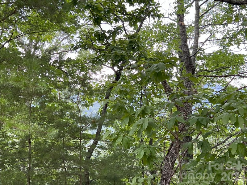 Stratford Dr #19, Mill Spring, NC 28756