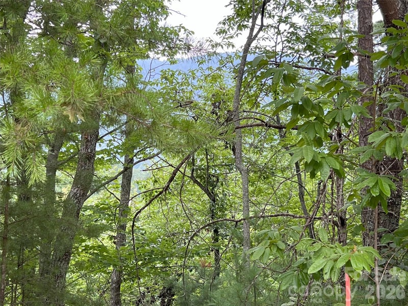Stratford Dr #19, Mill Spring, NC 28756