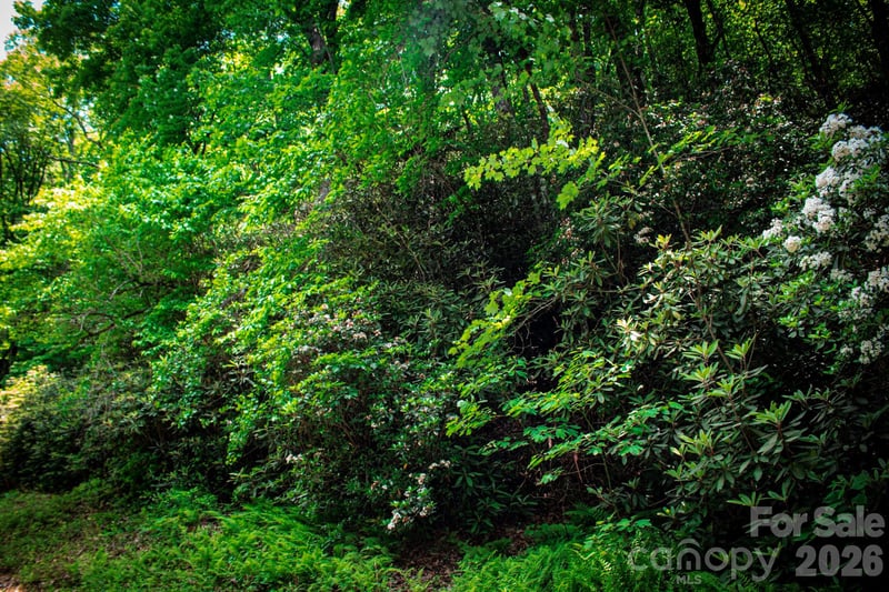 TBD Fox Den Rd #57&59, Brevard, NC 28712