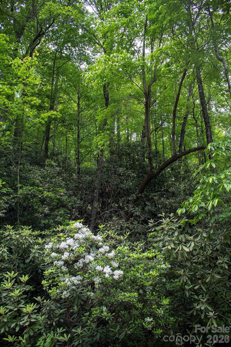 TBD Fox Den Rd #57&59, Brevard, NC 28712