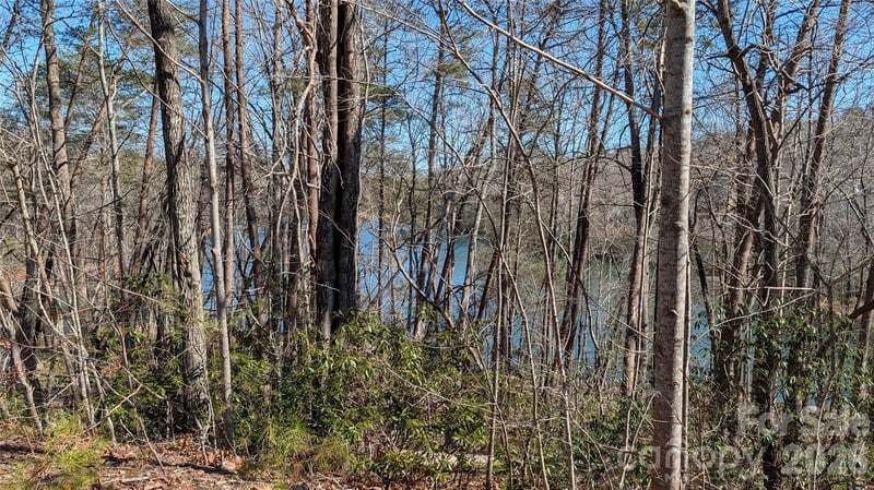 Lakewood Dr, Lake Lure, NC 28746