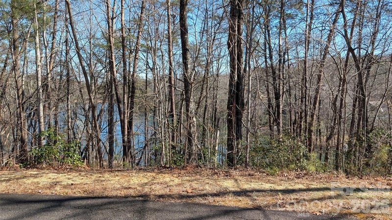 Lakewood Dr, Lake Lure, NC 28746