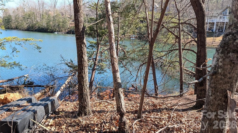 Lakewood Dr, Lake Lure, NC 28746