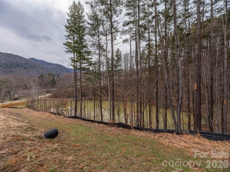 9 Freshwater Cv, Maggie Valley, NC 28751