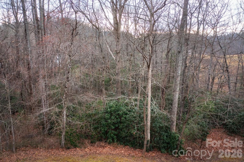 38 Gollum Dr, Fairview, NC 28730