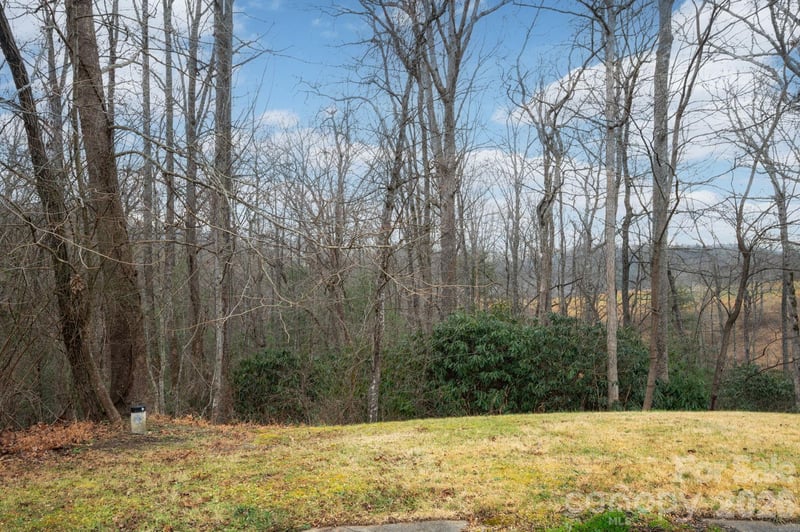 38 Gollum Dr, Fairview, NC 28730