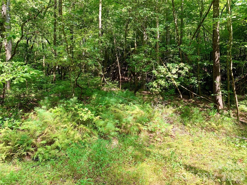 6 Double Creek Rd #6, Brevard, NC 28712
