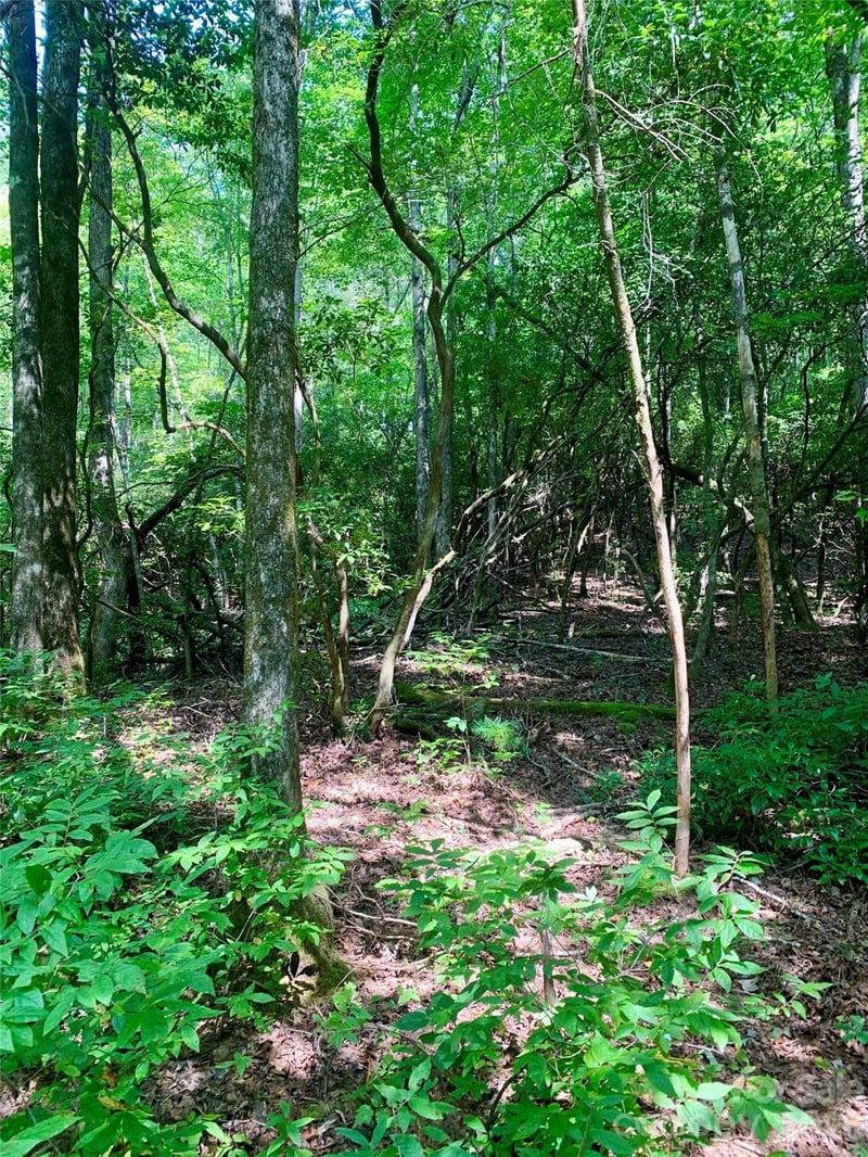 6 Double Creek Rd #6, Brevard, NC 28712