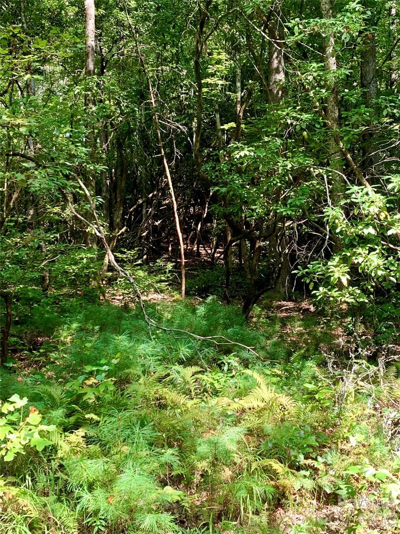 6 Double Creek Rd #6, Brevard, NC 28712