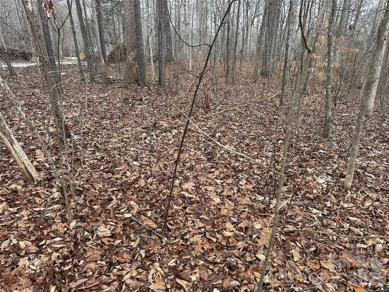 Rolling Rd, Lincolnton, NC 28092