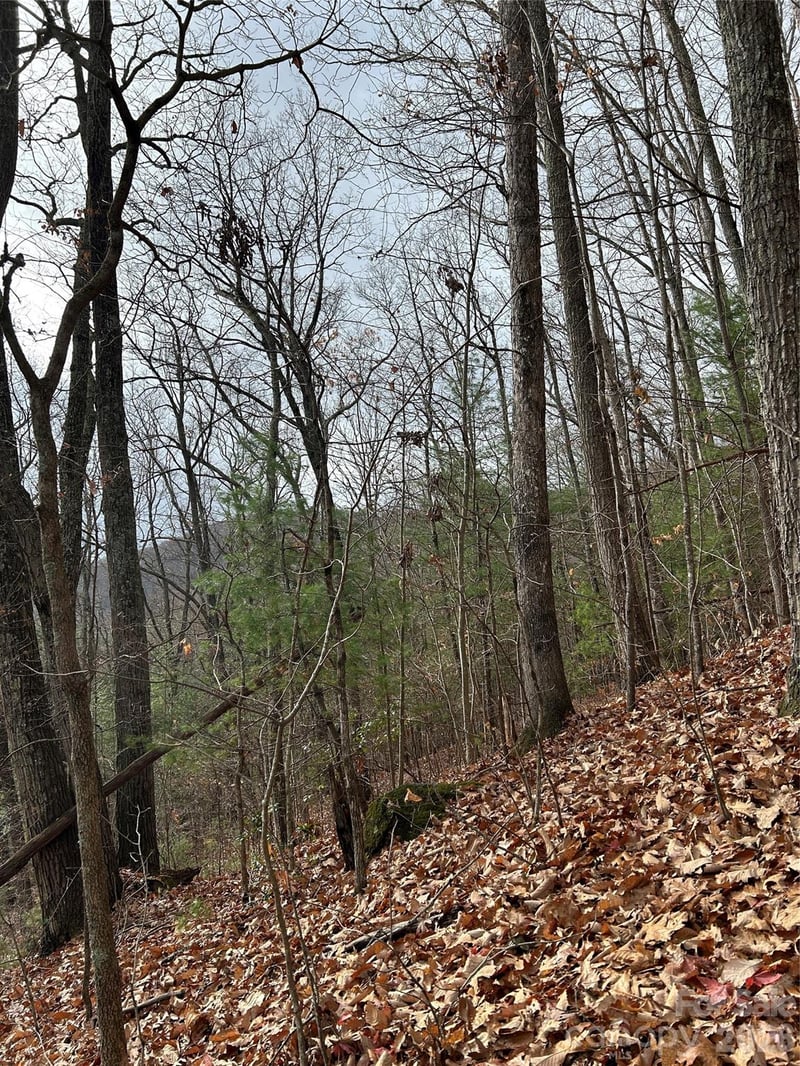 99999 Cowan Cove Rd, Asheville, NC 28806