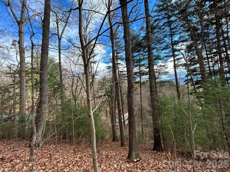 99999 Cowan Cove Rd, Asheville, NC 28806
