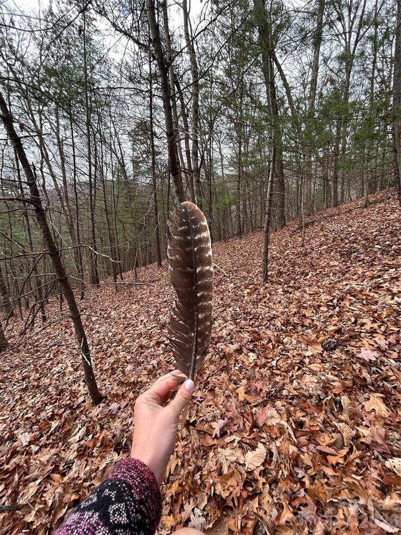 99999 Cowan Cove Rd, Asheville, NC 28806