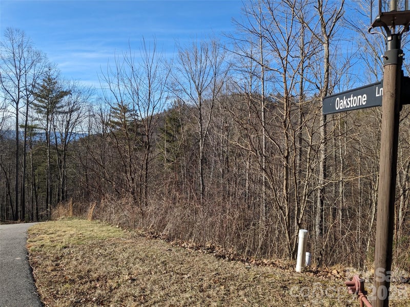27 Bent Branch Ln #10, Asheville, NC 28804