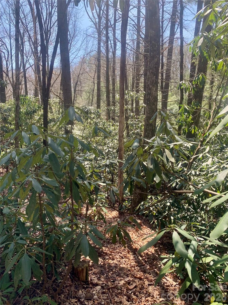Lot 20A Indian Lake Rd #20A, Lake Toxaway, NC 28747