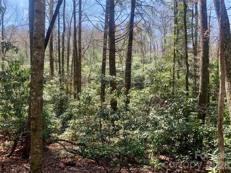 Lot 20A Indian Lake Rd #20A, Lake Toxaway, NC 28747