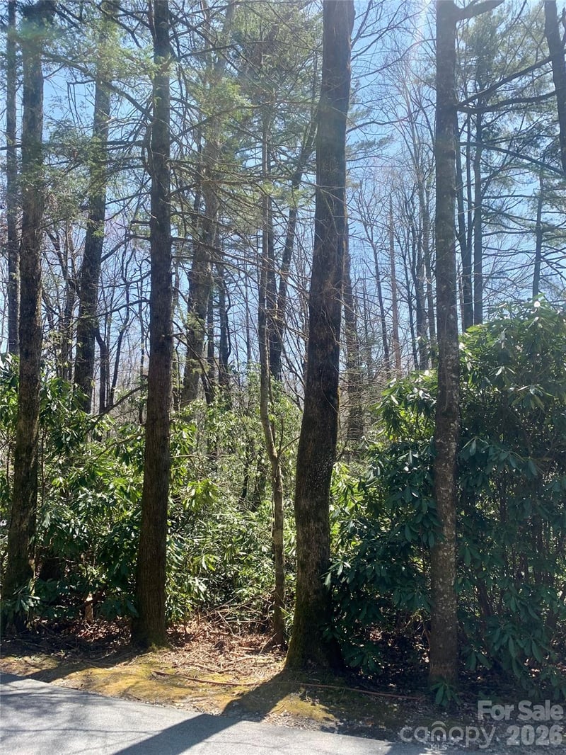 Lot 20A Indian Lake Rd #20A, Lake Toxaway, NC 28747