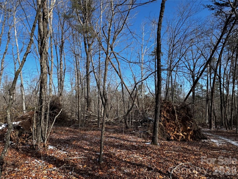 Painters Gap Rd, Union Mills, NC 28167