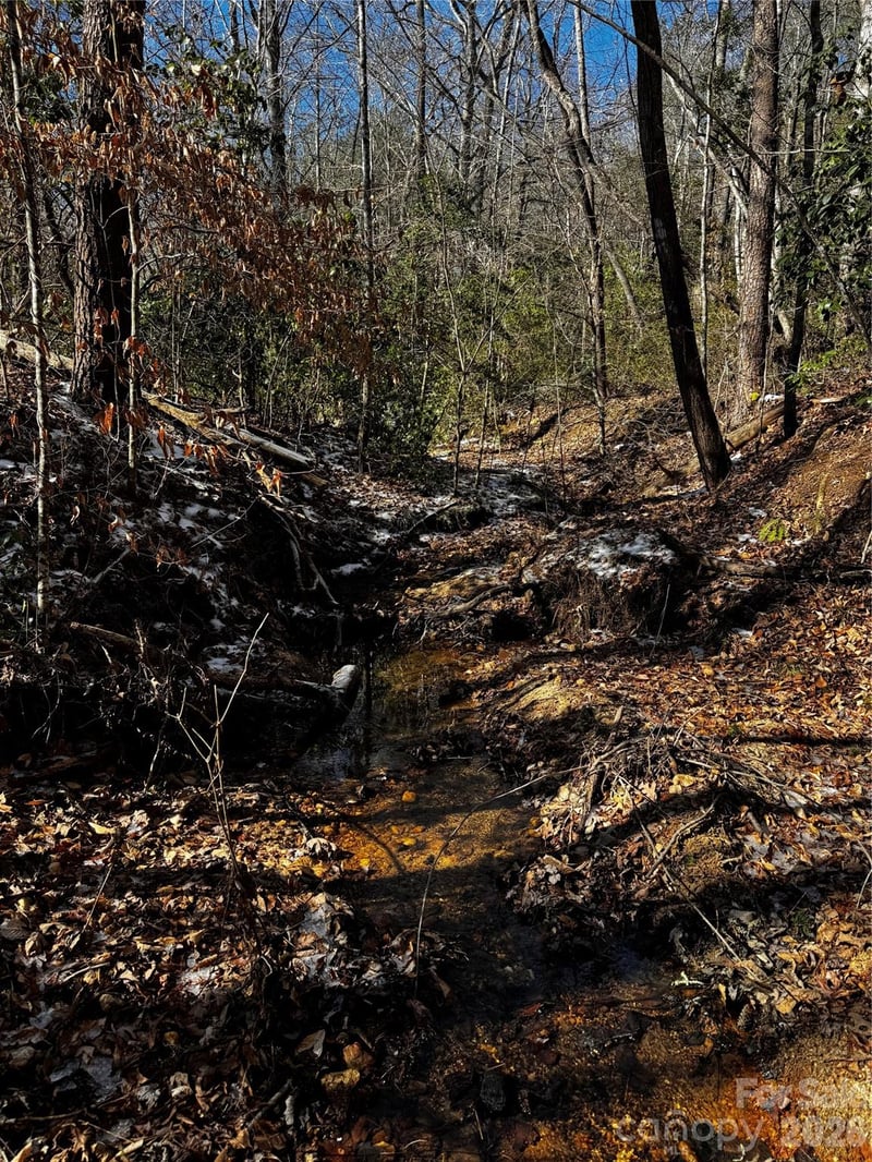 Painters Gap Rd, Union Mills, NC 28167