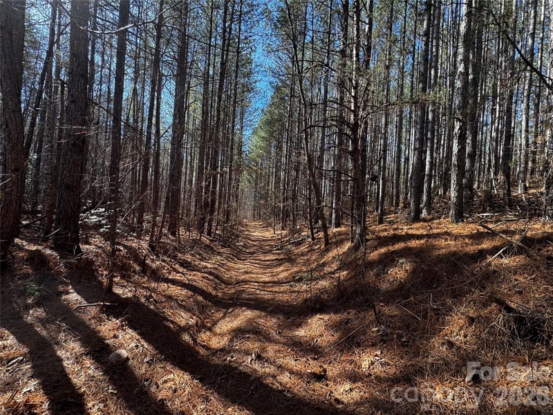 Painters Gap Rd, Union Mills, NC 28167