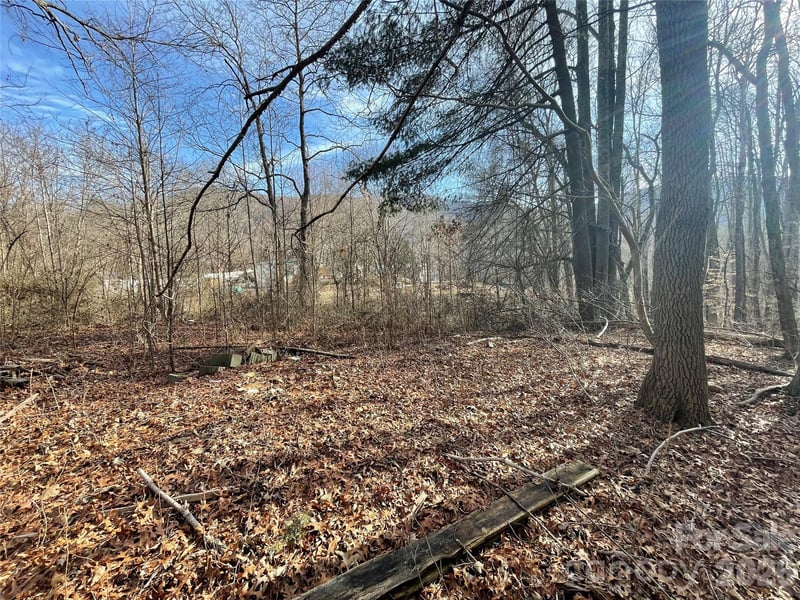 000 Max Metcalf Rd, Swannanoa, NC 28778