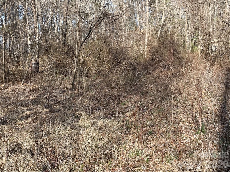 000 Max Metcalf Rd, Swannanoa, NC 28778