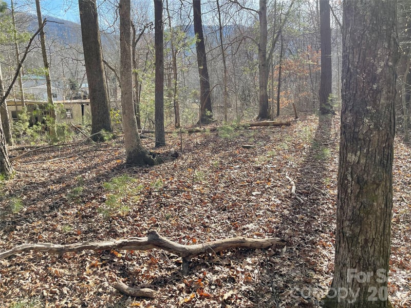 218 Max Metcalf Rd, Swannanoa, NC 28778