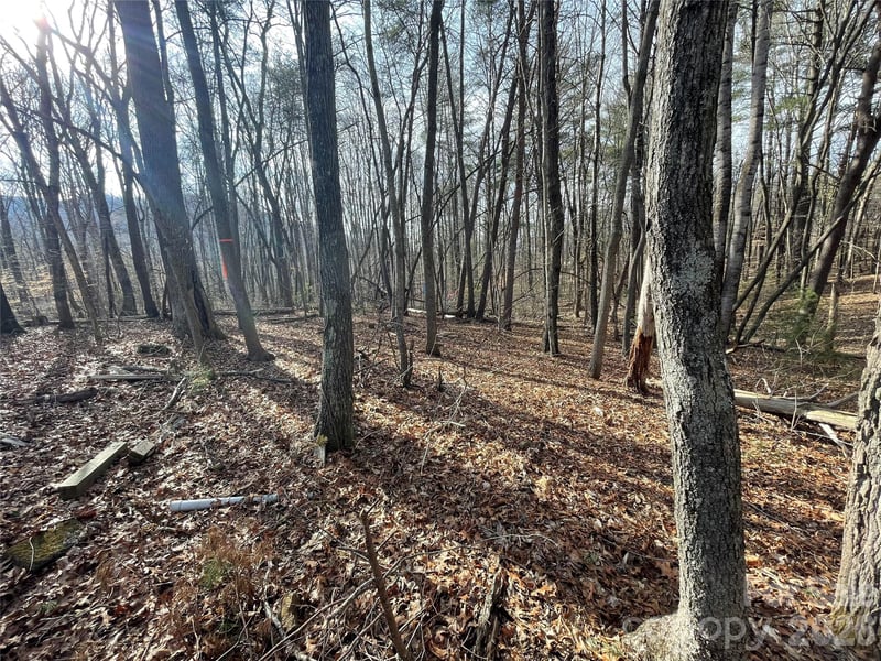 218 Max Metcalf Rd, Swannanoa, NC 28778