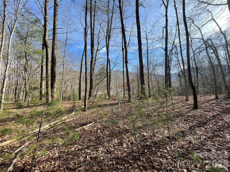 220 Max Metcalf Rd, Swannanoa, NC 28778