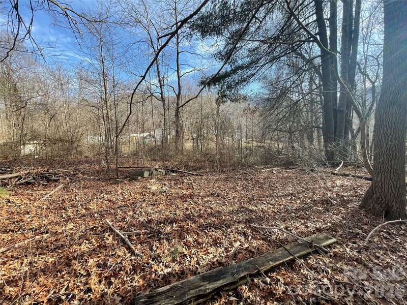 220 Max Metcalf Rd, Swannanoa, NC 28778