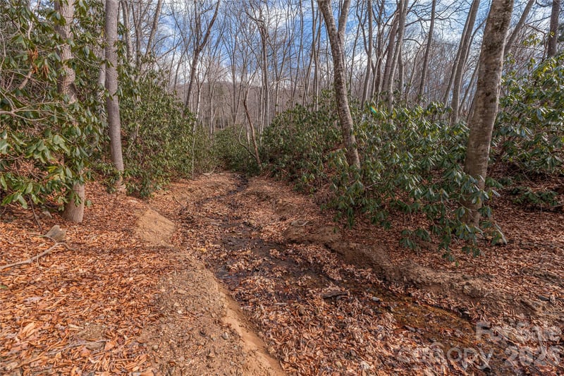 1345 Country Club Dr, Canton, NC 28716