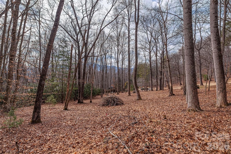 1345 Country Club Dr, Canton, NC 28716