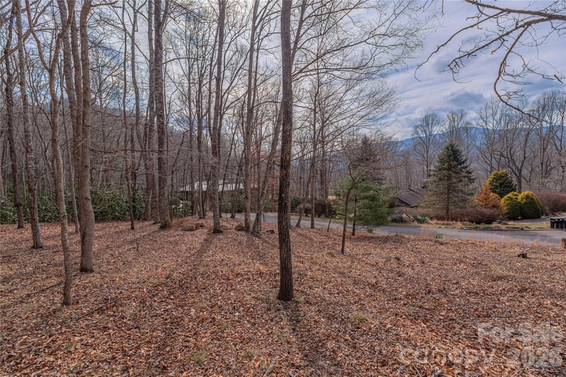 1345 Country Club Dr, Canton, NC 28716