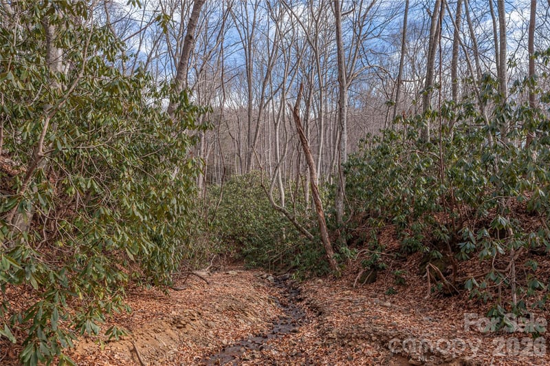 1345 Country Club Dr, Canton, NC 28716