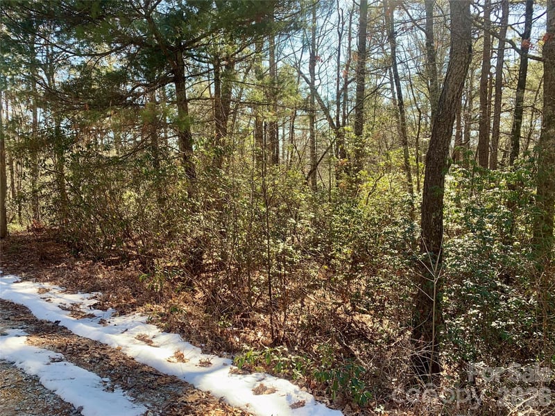 Lot 18 Oak Ridge Dr #18, Brevard, NC 28712