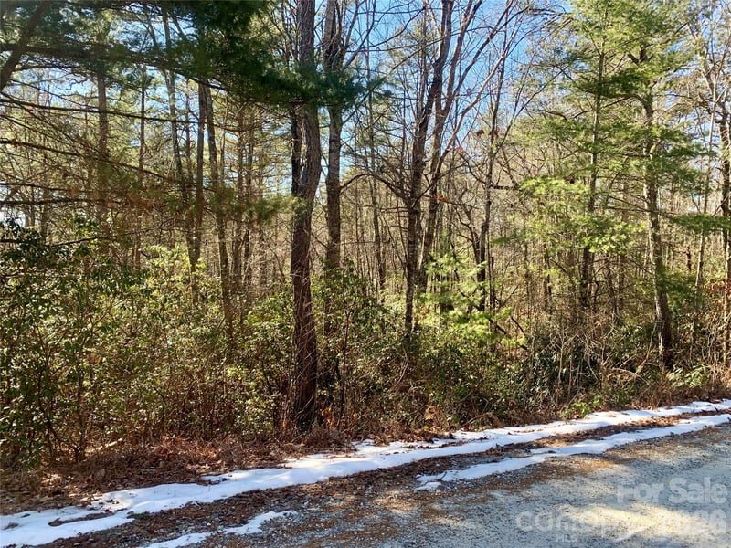 Lot 18 Oak Ridge Dr #18, Brevard, NC 28712