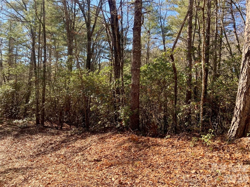 Lot 18 Oak Ridge Dr #18, Brevard, NC 28712
