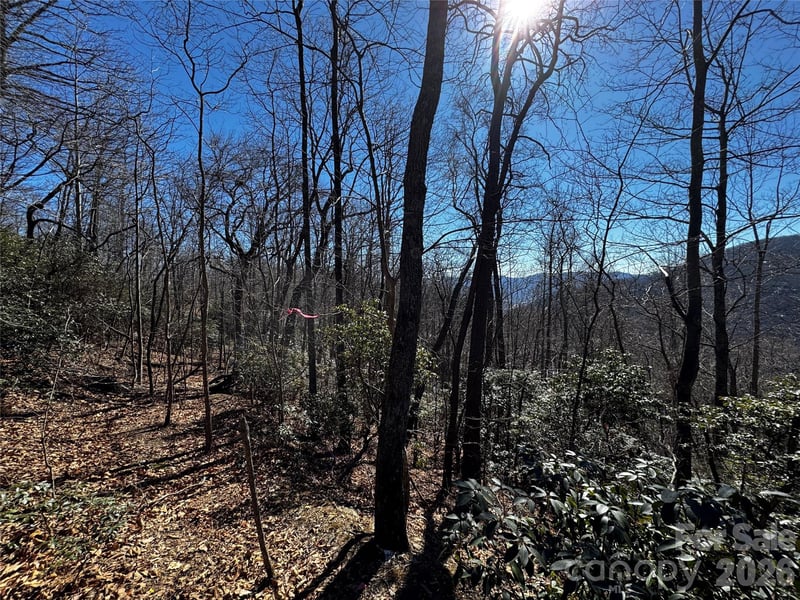 TBD Acacia Ct #936, Black Mountain, NC 28711