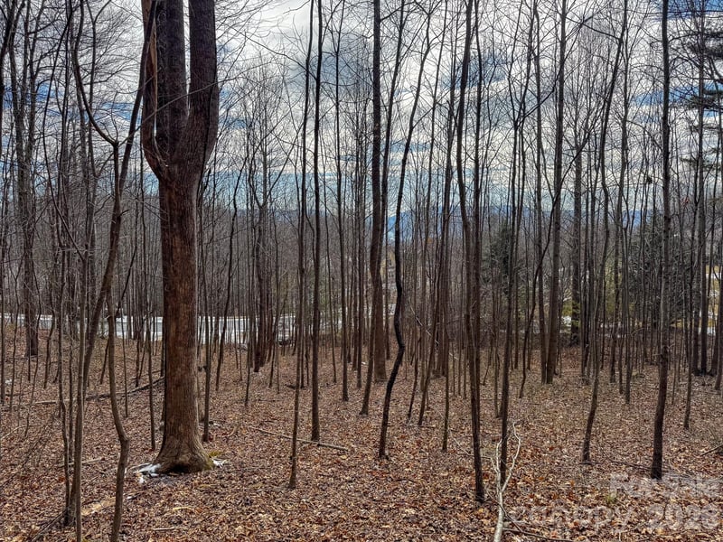 770 Somersby Pw, Hendersonville, NC 28739