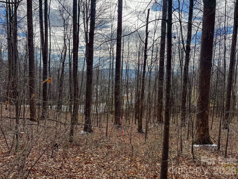 770 Somersby Pw, Hendersonville, NC 28739