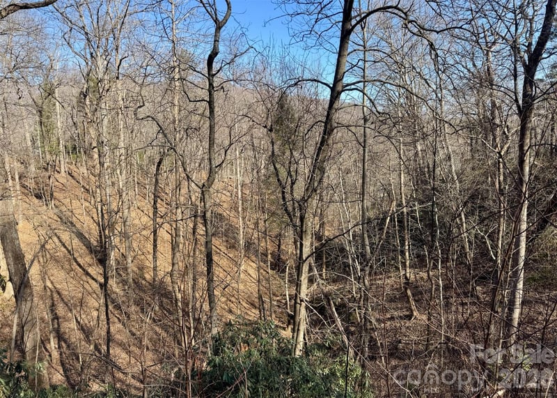 42 Asa Gray Dr, Lake Lure, NC 28720