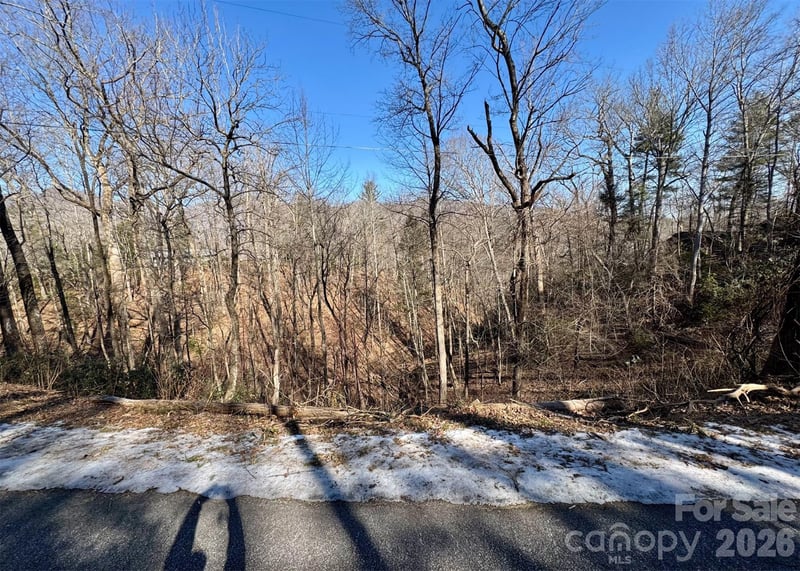 42 Asa Gray Dr, Lake Lure, NC 28720