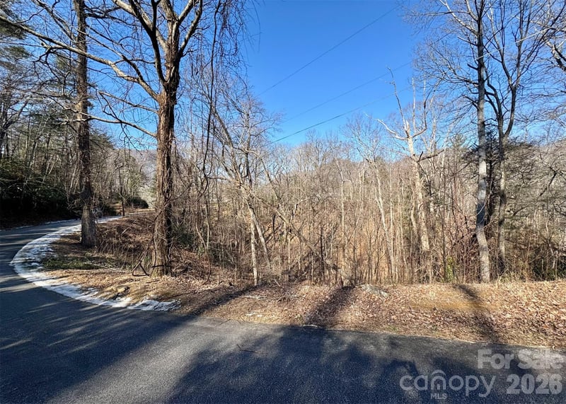 42 Asa Gray Dr, Lake Lure, NC 28720