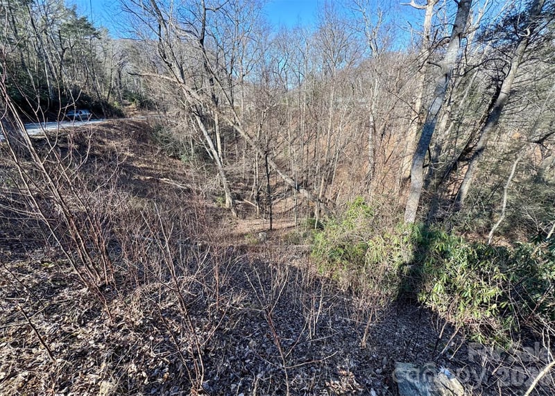 42 Asa Gray Dr, Lake Lure, NC 28720