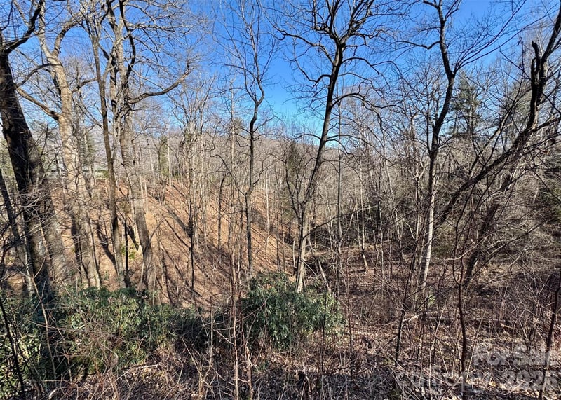 42 Asa Gray Dr, Lake Lure, NC 28720