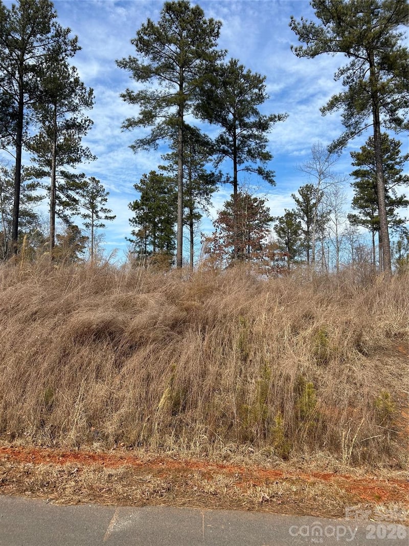 2099 Columbia Rg #12, Connelly Springs, NC 28612