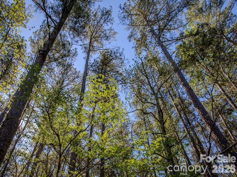 Catfish Rd, New London, NC 28127