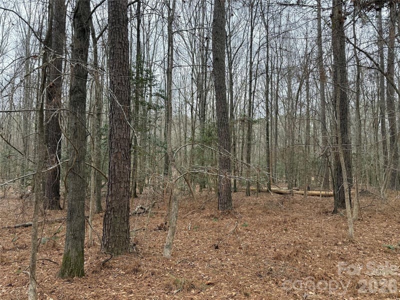 6191 Chimney Bluff Rd, Lancaster, SC 29720