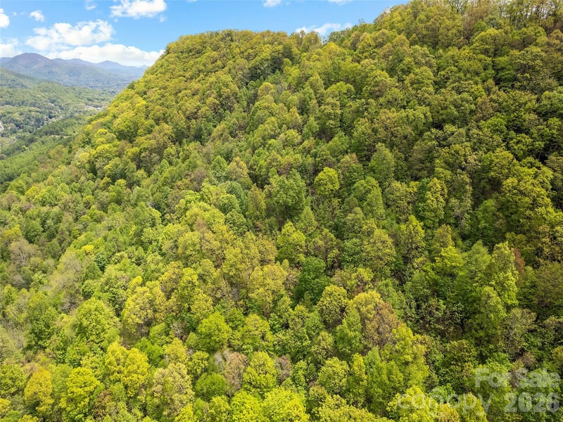 00 Locust Trl, Waynesville, NC 28785